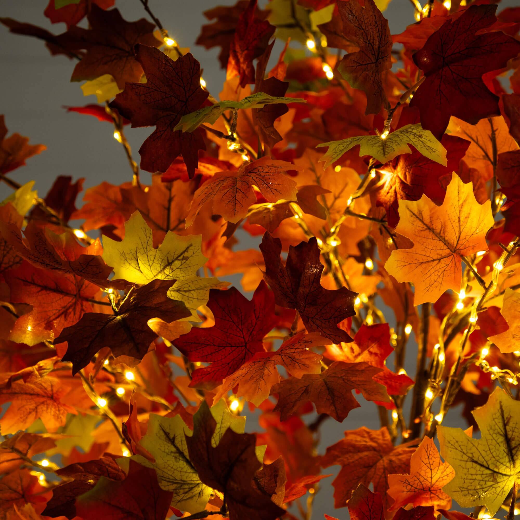 6ft. Pre-Lit Shades of Autumn Maple Artificial Fall Tree with 360 Warm White LED Lights